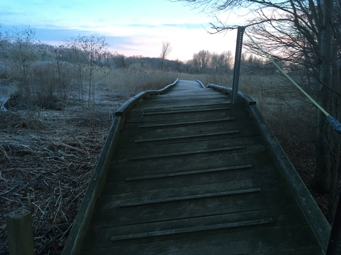 Some boardwalks on inclines provide gripping ridges and ropes to hold. These guys think of everything.