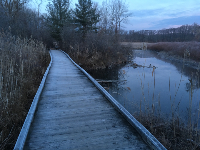 Laurel Marsh Trail, Manchester, at dawn