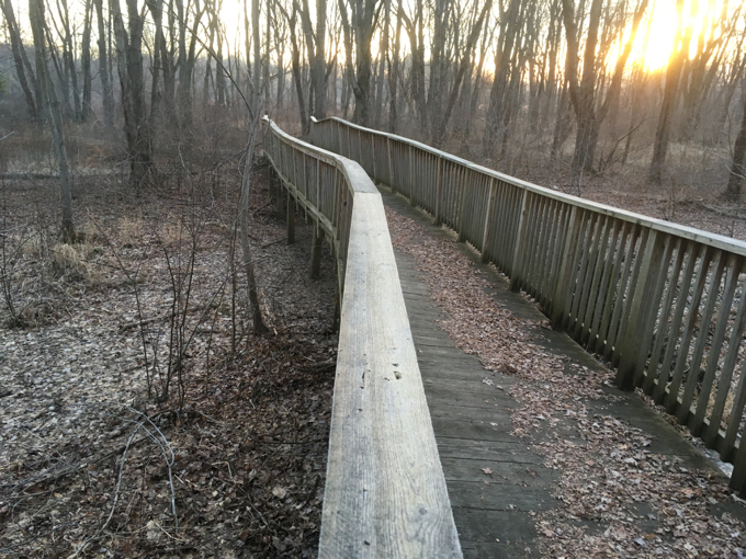 Serious boardwalks