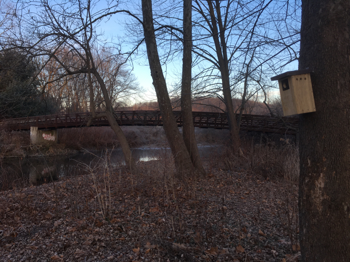 Here's the bridge from below. There's an exact replica of it way up at the northern end of Union Pond if you care.