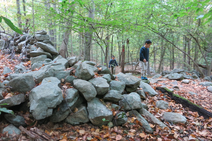 There are rocks here, so Calvin was happy. 