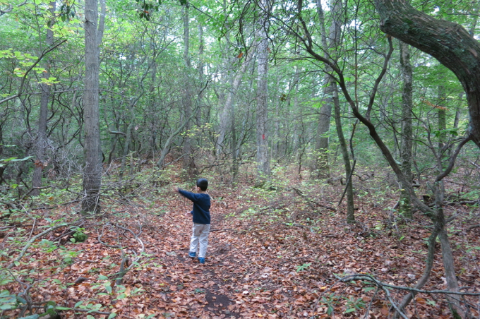 Just dancing down the trail