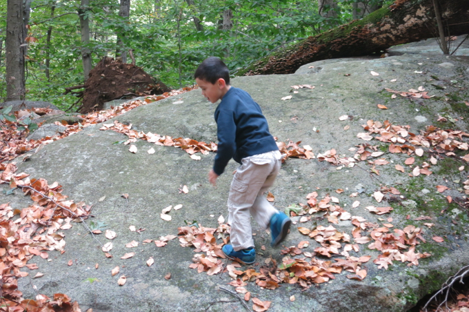 Rock Ninja, thwarted