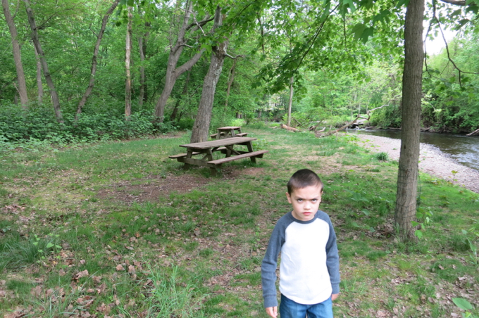 You can come and have a buggy picnic here if you want. I guess. 