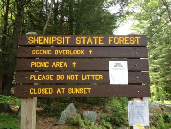 Shenipsit State Forest & Bald Mountain Trails (v.Stafford)