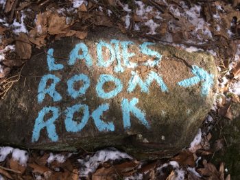 Ladies Room Rock