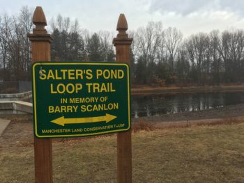 MLCT: Salter’s Pond