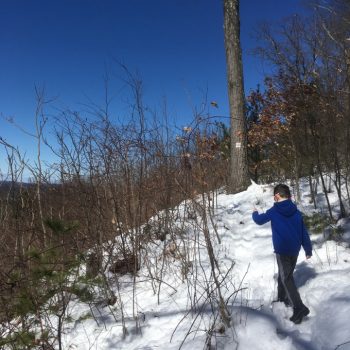 FLT: Mountain Spring Nature Trail