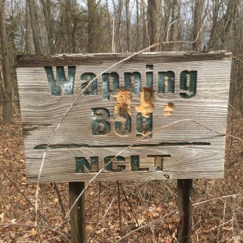 NCLT: Wapping Bog
