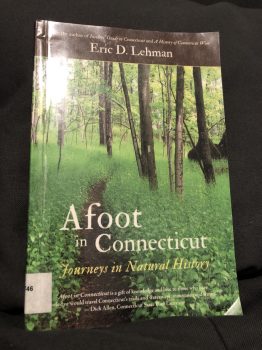 Book Review: Afoot in Connecticut