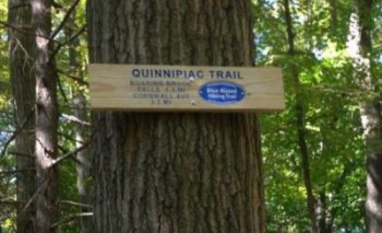 Quinnipiac Trail Intro