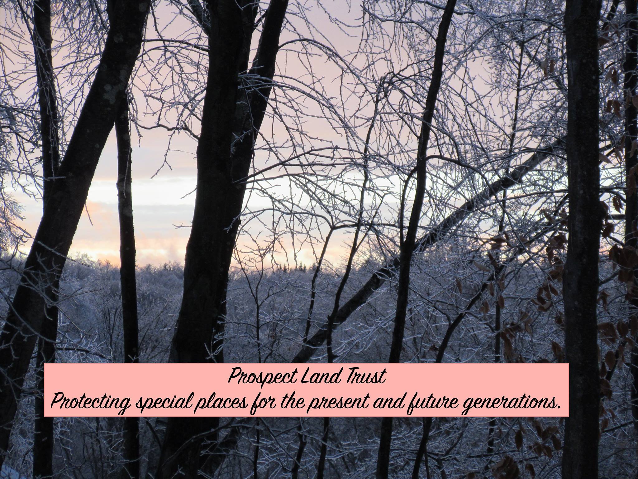 Prospect Land Trust Intro