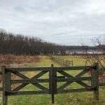 Great Meadows Conservation Trust Intro