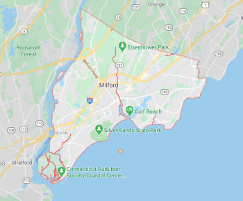 CTMQ’s Guide to Milford