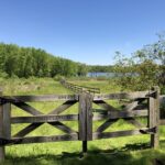GMCT: Eleanor Buck Wolf Parcel