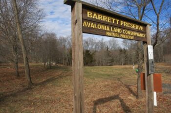 Avalonia: Barrett Preserve