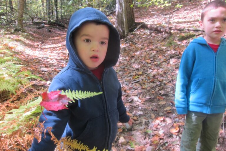 HoppersBirge Pond Nature Preserve