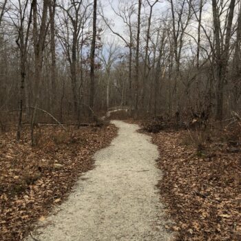 Harris Brook/Salem Nature Trail