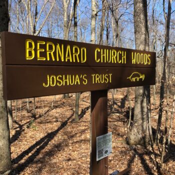 JT: Bernard Church Woods