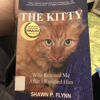 Book Review: The Kitty