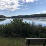 Bishop Swamp WMA