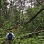 (Former) National Champion: Poison Sumac