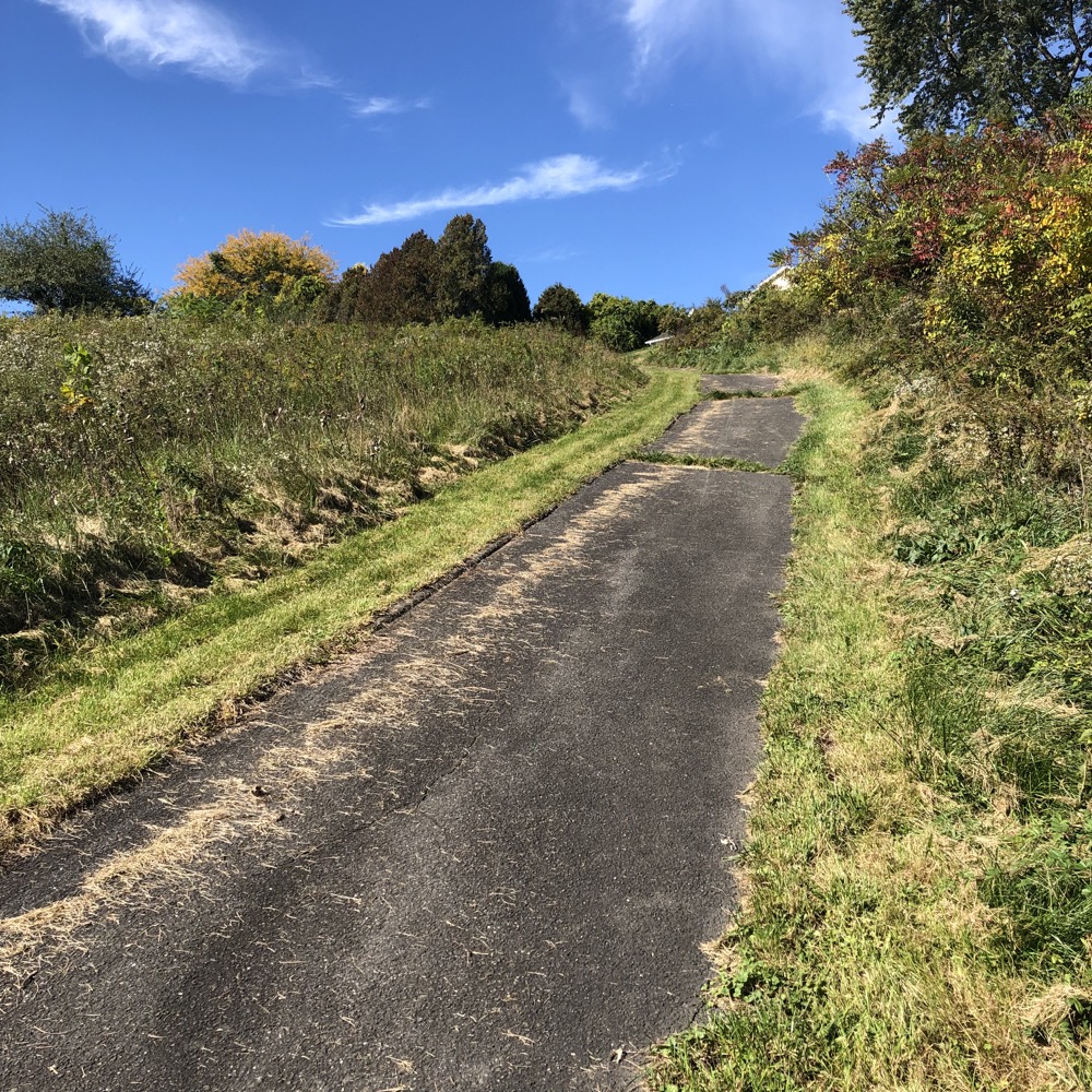 Mill Brook Open Space