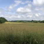Young’s Farm/Rock Hole