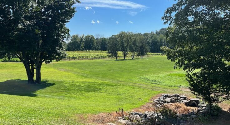 Worthington Vineyards Nature Trails