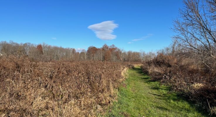 Frederick White Farm Trails