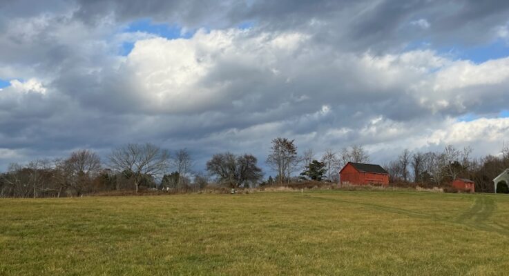Graham Thompson Preserve