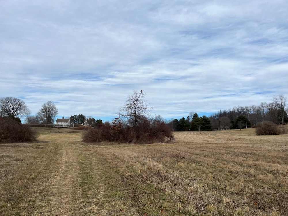 Coginchaug Greenway Open Space