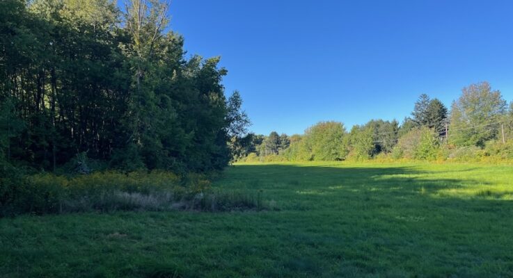 Humphrey Farm Reserve