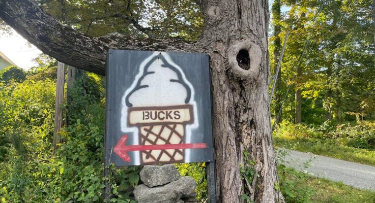 Buck’s Soft Serve