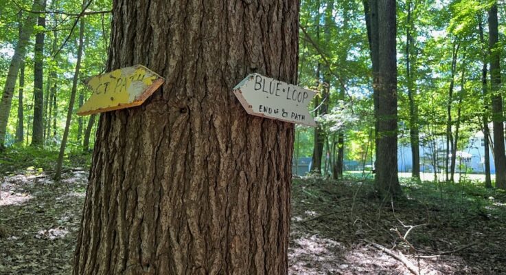 Madeline Regan Preserve