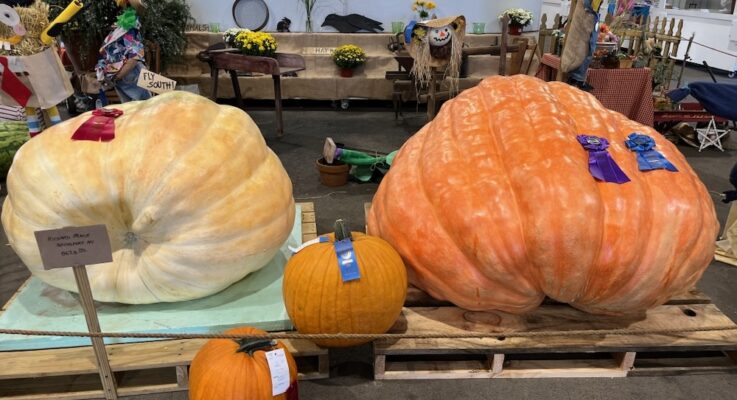Bethlehem Fair Vintage Museum