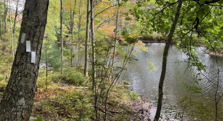 Tremko Trail